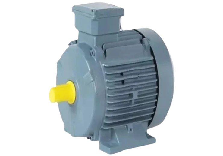 LV Induction Motors